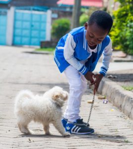 Boy walking dog